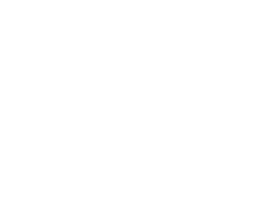 RadFlow Logo